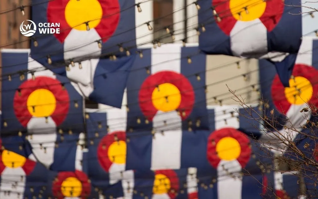 Understanding local SEO fundamentals for Denver market success