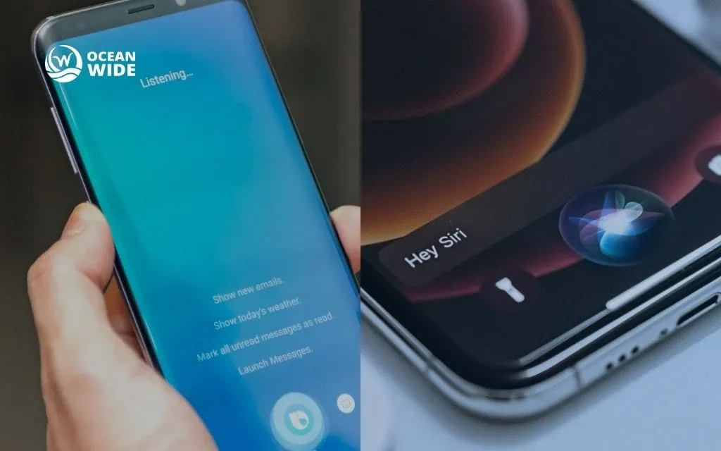 measuring voice search success for your denver business