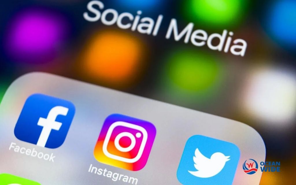 What is social network advertising? Basic social network advertising definition