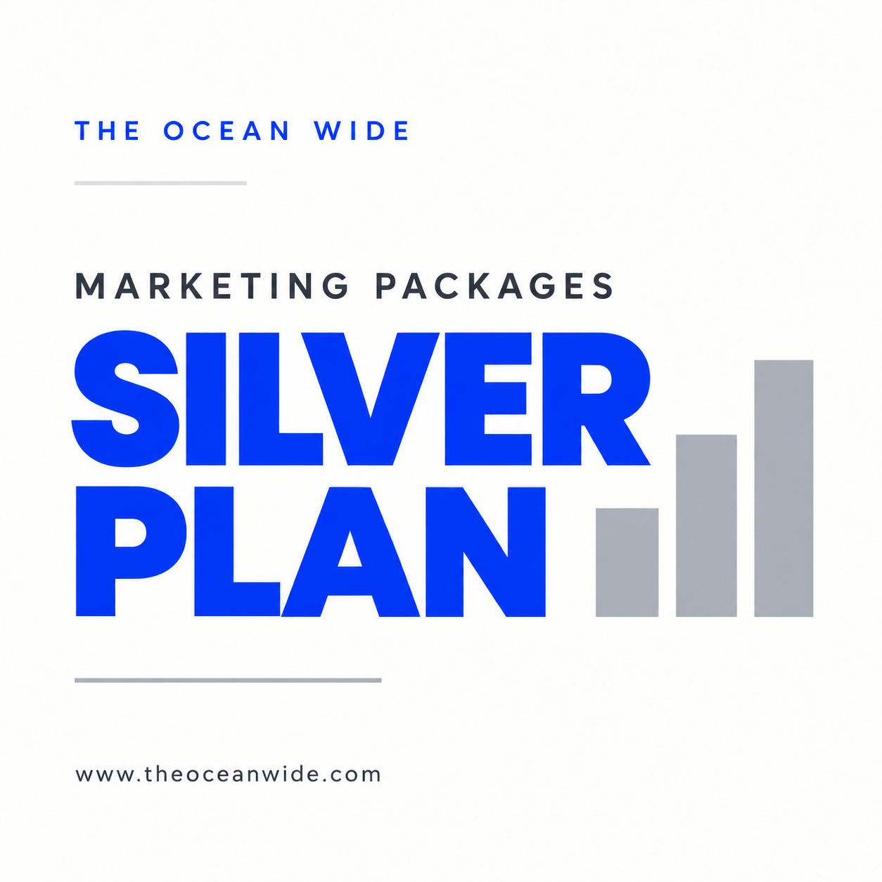 Marketing Packages Silver Plan