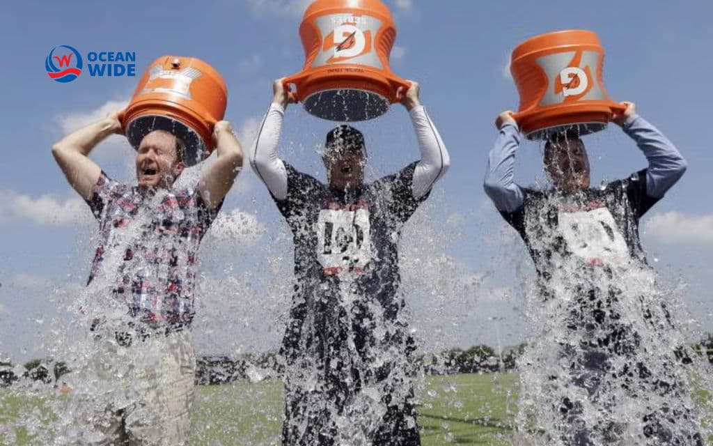 Social media marketing examples: ALS Association: Ice Bucket Challenge