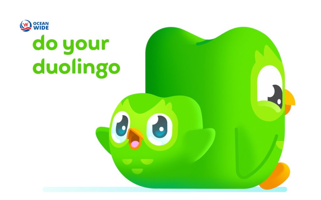 Social media campaign: Duolingo: Pairing paid and organic